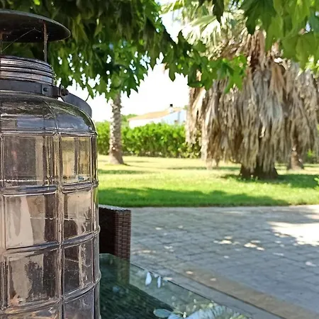 Palmeras سانت بير بيسكادور