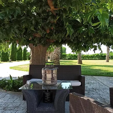Palmeras سانت بير بيسكادور