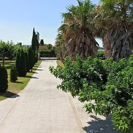 Сasa de vacaciones Palmeras