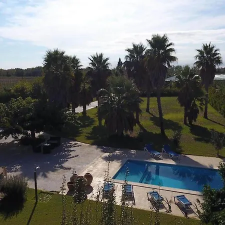 Palmeras * Sant Pere Pescador