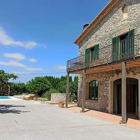 Palmeras * Sant Pere Pescador